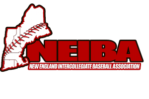 NEIBA Logo Image GPT no bkg